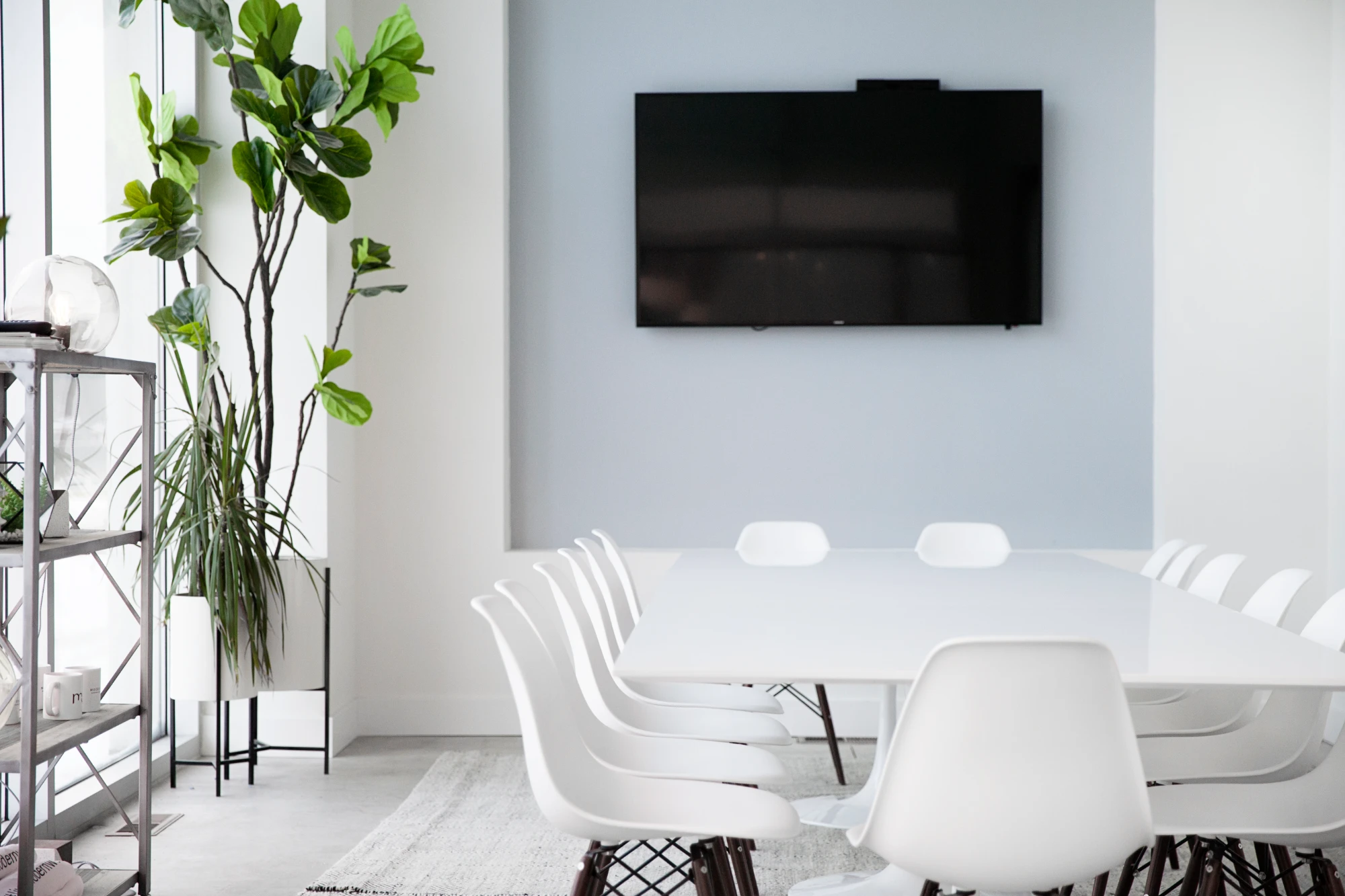 Conference Room — ModernWell
