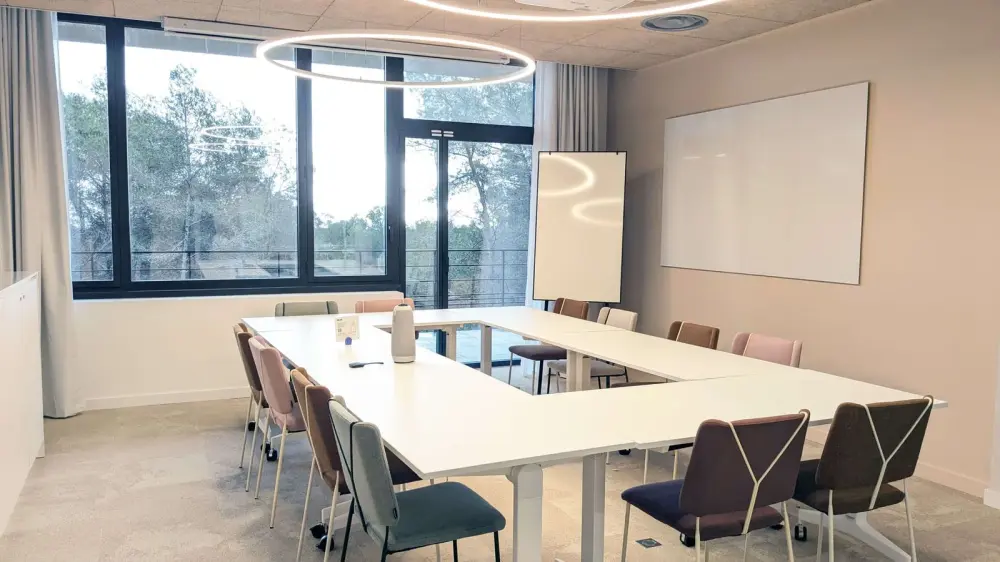 Salle de réunion Etain — Newton Offices Sophia Antipolis