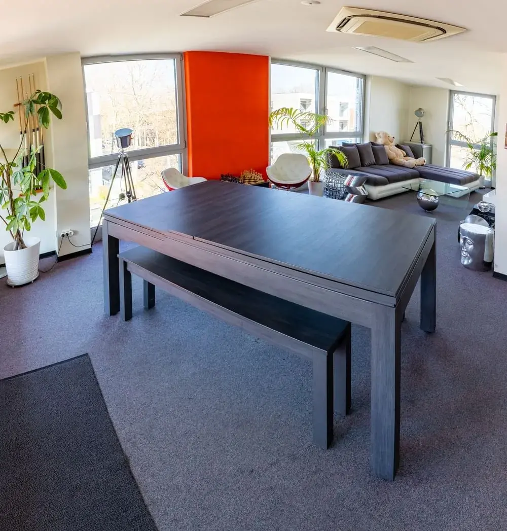 Espace détente/loisirs et réunion (6 personnes) privatisé — Le Lodge