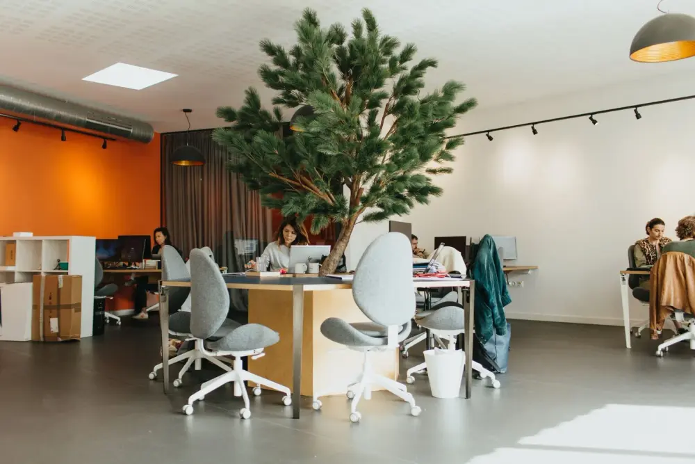 Coworking — MOTA Manutention