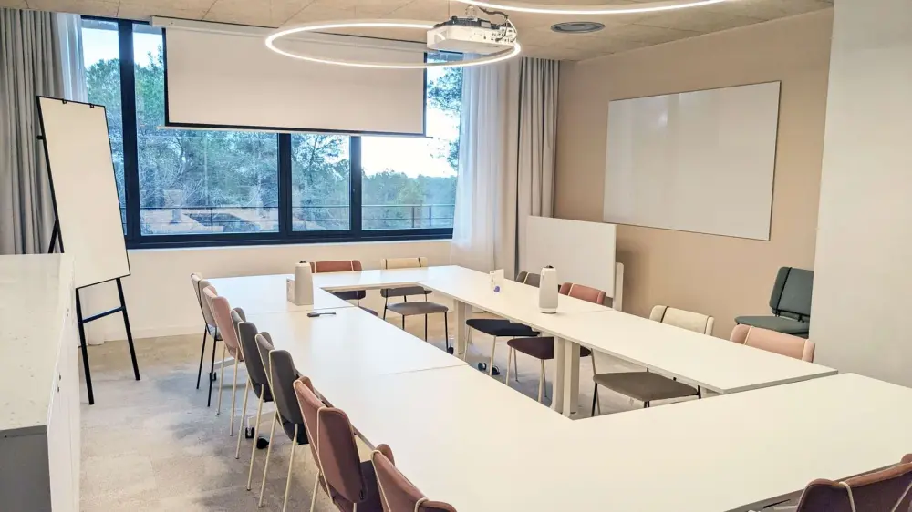 Salle de réunion Bronze — Newton Offices Sophia Antipolis