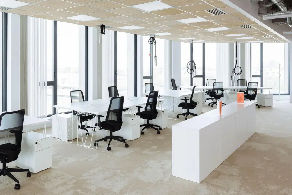 Newton Offices Haute Borne