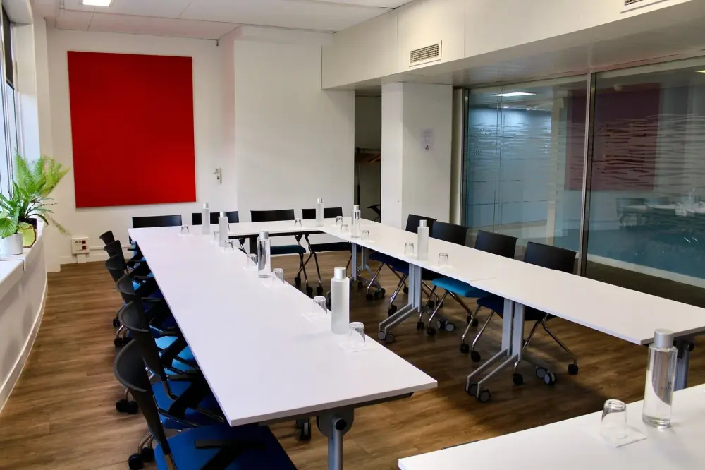 Salle de réunion 45m2 — Emergence Issy-les-Moulineaux