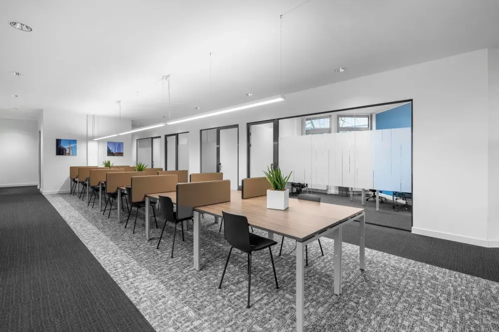 عمل مشترك يومي — Regus Algiers, Bunyan Hydra